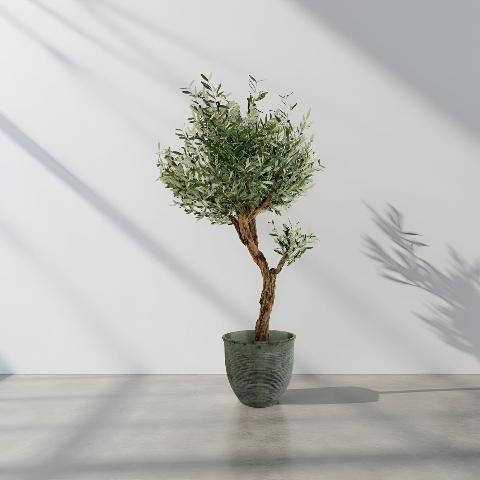 WhatsApp Image 2025-11-22 at 11.00.43 PM