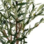 ⁦Olive Tree 240 CM (Without Pot)⁩ - الصورة ⁦2⁩
