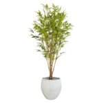 Bamboo 210 CM (Without Pot)