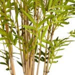 Bamboo 210 CM (Without Pot) - Image 2