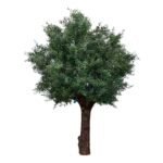 Premium Olive Tree with Natural Preserved Trunk & Artificial Foliage