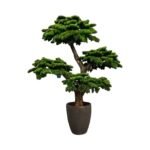 Premium Bonsai Tree with Natural Preserved Trunk & Artificial Foliage (Without Pot)