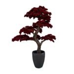 Premium Bonsai Tree with Natural Preserved Trunk & Artificial Foliage (Without Pot)