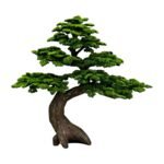 Premium Bonsai Tree with Natural Preserved Trunk & Artificial Foliage