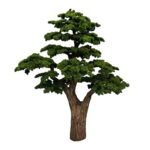 Premium Bonsai Tree with Natural Preserved Trunk & Artificial Foliage