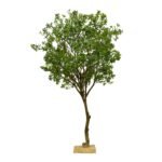 Premium Pittosporum Tree with Natural Preserved Trunk & Artificial Foliage