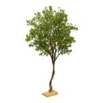 ⁦Premium Pittosporum Tree with Natural Preserved Trunk & Artificial Foliage⁩ - الصورة ⁦2⁩