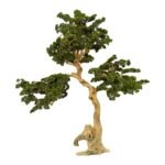 Exclusive Bonsai Tree with Unique Natural Preserved Trunk & Stems