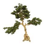 Exclusive Bonsai Tree with Unique Natural Preserved Trunk & Stems