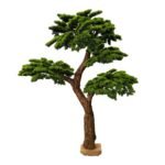 Premium Bonsai Tree with Natural Preserved Trunk & Artificial Foliage