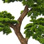 ⁦Premium Bonsai Tree with Natural Preserved Trunk & Artificial Foliage⁩ - الصورة ⁦2⁩