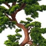 ⁦Premium Bonsai Tree with Natural Preserved Trunk & Artificial Foliage⁩ - الصورة ⁦2⁩