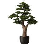 Premium Bonsai Tree with Natural Preserved Trunk & Artificial Foliage (Without Pot)