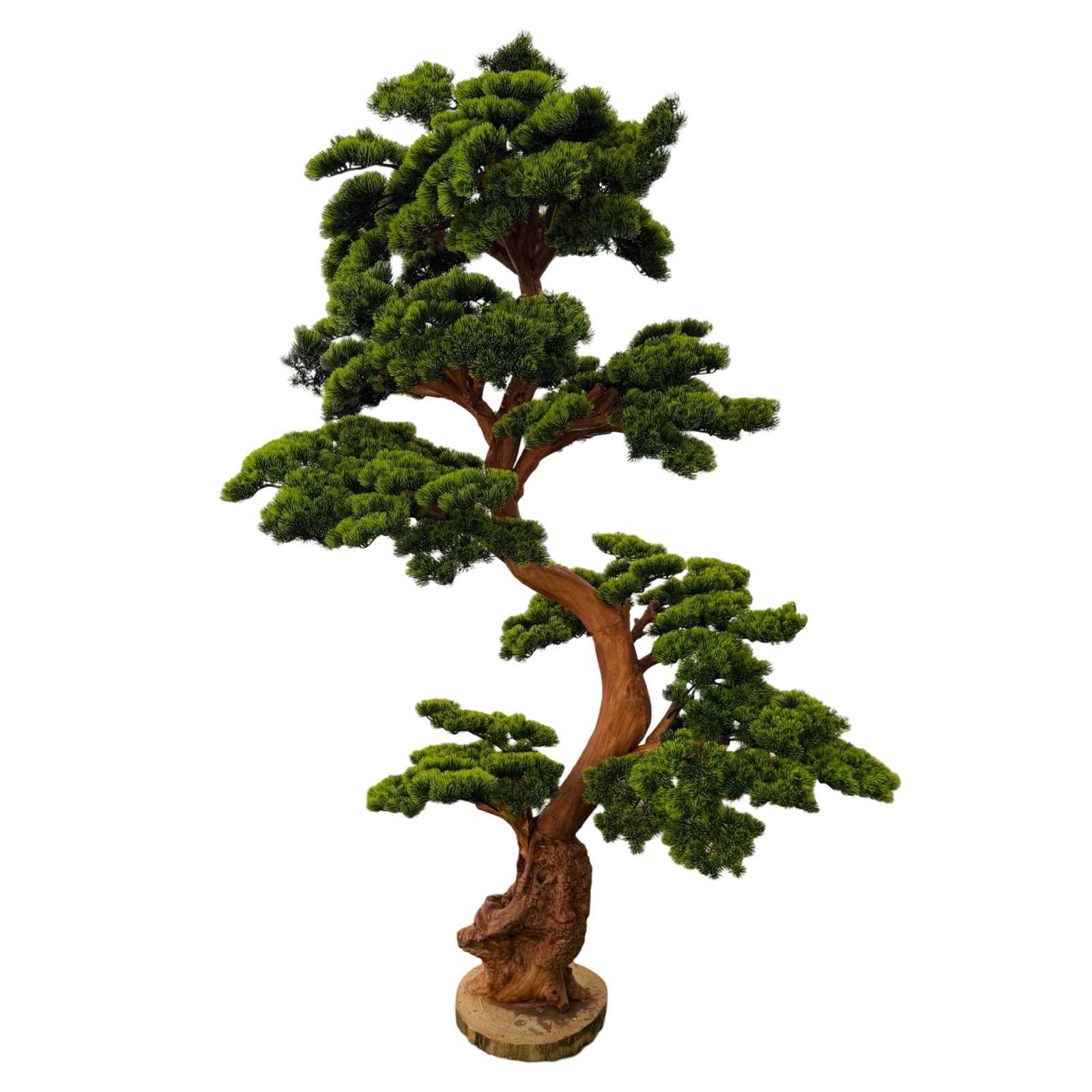 img_5542 Premium Bonsai Tree with Natural Preserved Trunk & Artificial Foliage - الصورة 1