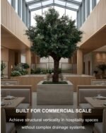 ⁦Premium Olive Tree with Natural Preserved Trunk & Artificial Foliage⁩ - الصورة ⁦3⁩