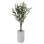 Olive 120 CM + Pot (Luna White)