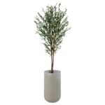 Olive 180 CM + Pot (Luna Beige)