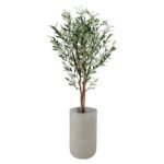 Olive 150 CM + Pot (Luna Beige)
