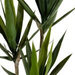 Yucca 180 CM + Pot (Luna Beige) - Image 2