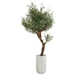 Signature Olive 210 CM + Pot (Luna White)