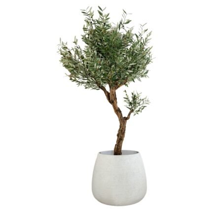 Signature Olive 210 CM + Pot (Round White)