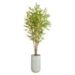Bamboo 210 CM + Pot (Luna White)