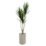 Yucca 150 CM + Pot (Luna Beige)