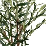 ⁦Olive 150 CM + Pot (Luna White)⁩ - الصورة ⁦3⁩